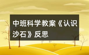 中班科學教案《認識沙石》反思