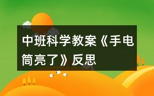 中班科學(xué)教案《手電筒亮了》反思