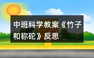 中班科學教案《竹子和稱砣》反思