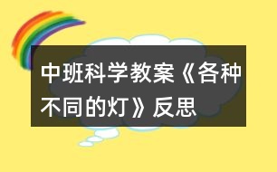 中班科學(xué)教案《各種不同的燈》反思