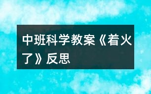 中班科學(xué)教案《著火了》反思