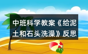 中班科學教案《給泥土和石頭洗澡》反思