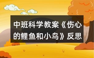 中班科學(xué)教案《傷心的鯉魚和小鳥》反思