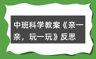 中班科學教案《親一親，玩一玩》反思