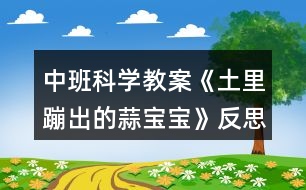 中班科學教案《土里蹦出的蒜寶寶》反思