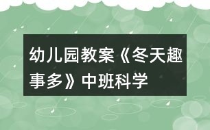 幼兒園教案《冬天趣事多》中班科學