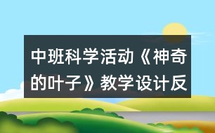 中班科學活動《神奇的葉子》教學設計反思