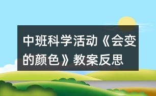 中班科學(xué)活動《會變的顏色》教案反思