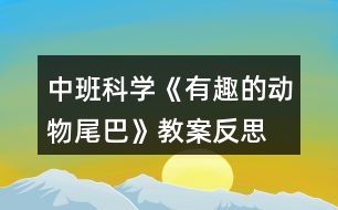 中班科學(xué)《有趣的動物尾巴》教案反思