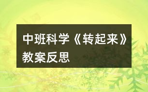 中班科學《轉(zhuǎn)起來》教案反思