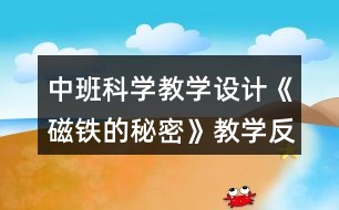 中班科學教學設計《磁鐵的秘密》教學反思