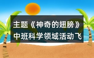 主題《神奇的翅膀》中班科學(xué)領(lǐng)域活動(dòng)飛機(jī)反思