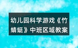 幼兒園科學(xué)游戲《竹蜻蜓》中班區(qū)域教案