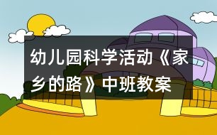 幼兒園科學(xué)活動(dòng)《家鄉(xiāng)的路》中班教案