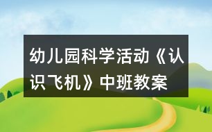 幼兒園科學(xué)活動《認(rèn)識飛機(jī)》中班教案