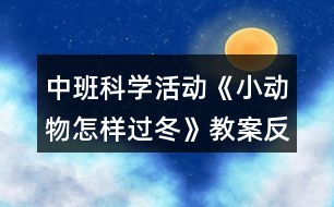 中班科學(xué)活動《小動物怎樣過冬》教案反思