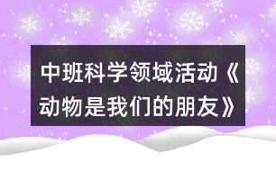 中班科學領域活動《動物是我們的朋友》