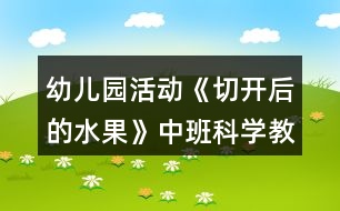 幼兒園活動(dòng)《切開(kāi)后的水果》中班科學(xué)教案反思