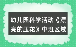 幼兒園科學(xué)活動《漂亮的壓花》中班區(qū)域游戲方案