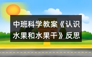 中班科學(xué)教案《認(rèn)識水果和水果干》反思