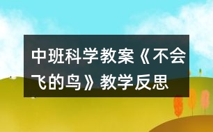 中班科學(xué)教案《不會(huì)飛的鳥》教學(xué)反思