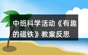 中班科學(xué)活動《有趣的磁鐵》教案反思