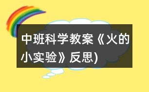 中班科學教案《火的小實驗》（反思)