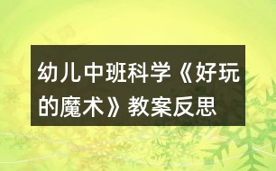 幼兒中班科學(xué)《好玩的魔術(shù)》教案反思