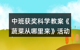 中班獲獎科學(xué)教案《蔬菜從哪里來》活動反思