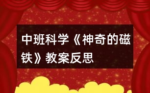 中班科學《神奇的磁鐵》教案反思