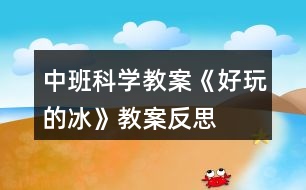 中班科學教案《好玩的冰》教案反思