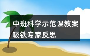 中班科學(xué)示范課教案吸鐵專家反思