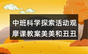 中班科學(xué)探索活動(dòng)觀摩課教案美美和丑丑反思