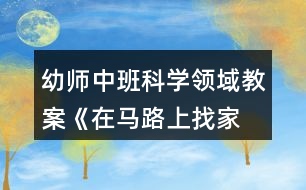 幼師中班科學(xué)領(lǐng)域教案《在馬路上—找家》