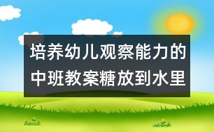 培養(yǎng)幼兒觀察能力的中班教案：糖放到水里會怎樣（科學(xué)）