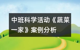 中班科學(xué)活動《蔬菜一家》案例分析