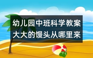 幼兒園中班科學教案：大大的饅頭從哪里來？