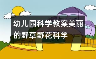 幼兒園科學(xué)教案：美麗的野草、野花（科學(xué)）