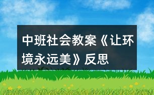 中班社會教案《讓環(huán)境永遠(yuǎn)美》反思