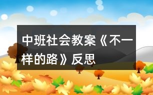 中班社會(huì)教案《不一樣的路》反思