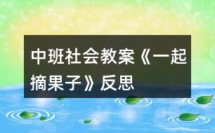 中班社會(huì)教案《一起摘果子》反思