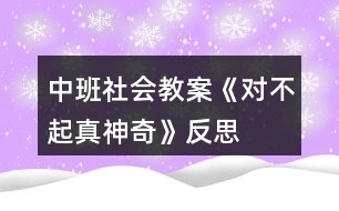 中班社會(huì)教案《“對(duì)不起”真神奇》反思