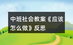 中班社會教案《應(yīng)該怎么做》反思