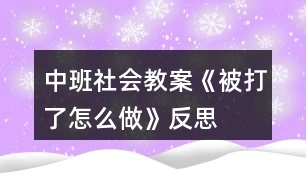 中班社會教案《被打了怎么做》反思