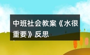 中班社會教案《水很重要》反思