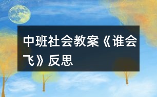 中班社會(huì)教案《誰會(huì)飛》反思