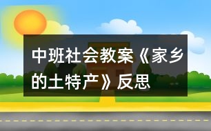 中班社會(huì)教案《家鄉(xiāng)的土特產(chǎn)》反思