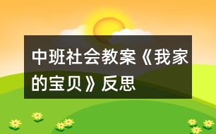 中班社會(huì)教案《我家的寶貝》反思