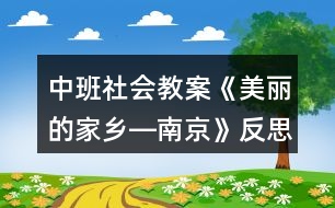 中班社會(huì)教案《美麗的家鄉(xiāng)―南京》反思