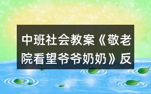 中班社會教案《敬老院看望爺爺奶奶》反思